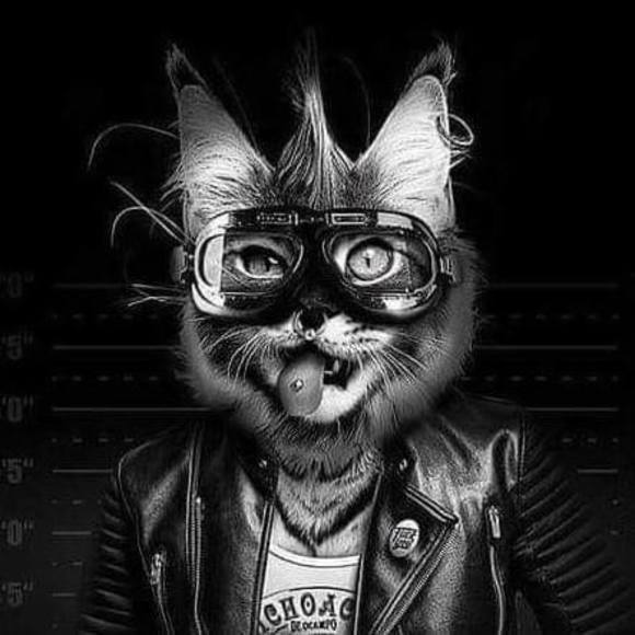 Meet your Posher, Nathalie - Picture 1 of 1